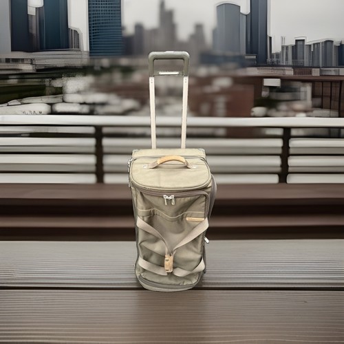 Briggs riley baseline - briggs, &